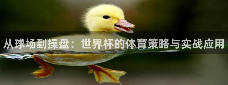 欧洲区世界杯预选赛:从球场到操盘:世界杯的体育策略与实战应用