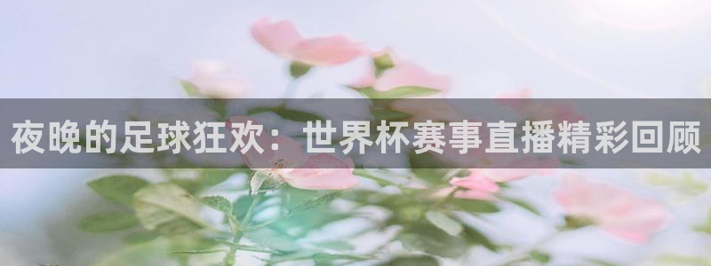 2026男足世界杯赛程:夜晚的足球狂欢:世界杯赛事直播精彩回顾
