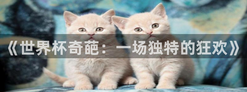 世界杯预选赛直播:《世界杯奇葩:一场独特的狂欢》