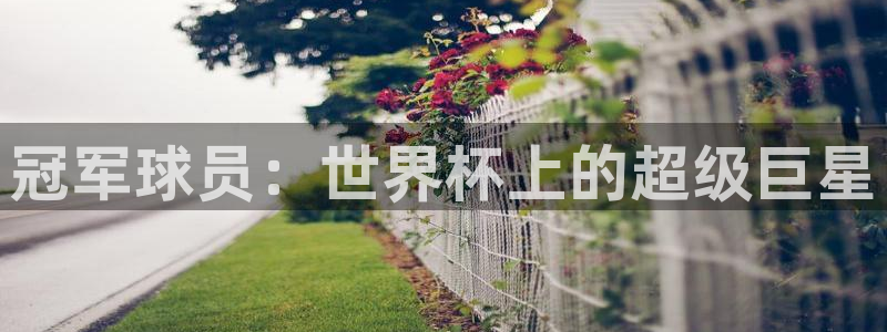 世界杯欧洲区预选赛:冠军球员:世界杯上的超级巨星