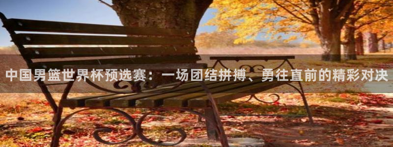世界杯 2026:中国男篮世界杯预选赛:一场团结拼搏、勇往直前的精彩对决