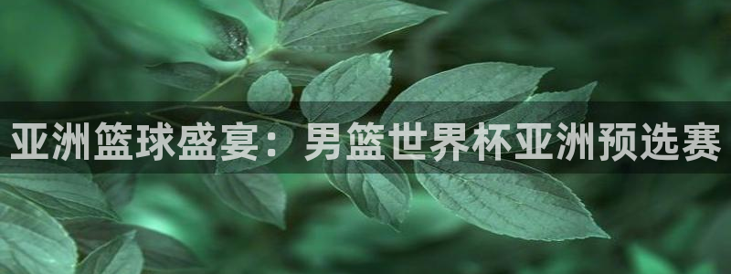 2026世亚预赛赛程表:亚洲篮球盛宴:男篮世界杯亚洲预选赛