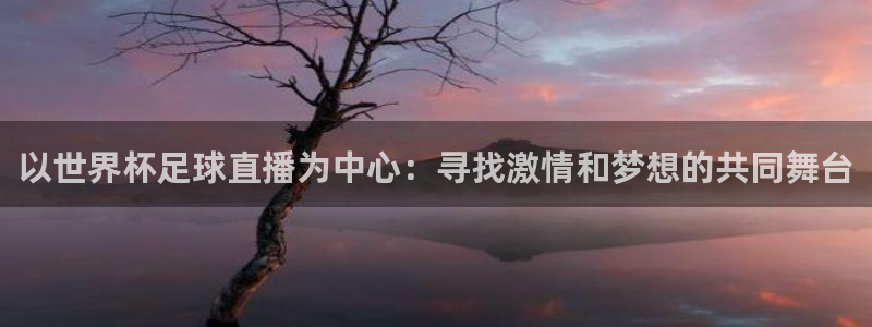 亚洲杯足球:以世界杯足球直播为中心:寻找激情和梦想的共同舞台